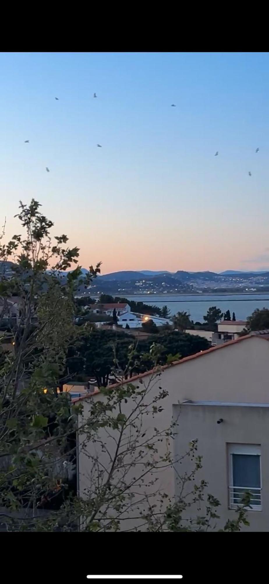 Appartamento Superbe Duplex Refait A Neuf ! Hyères Esterno foto